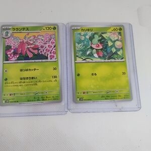 Green Pokémon Trading Cards #006 And #005 Perfect Condition